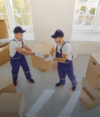 Movers Image