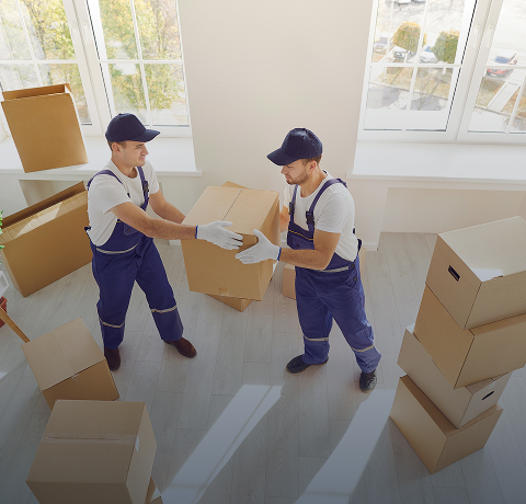 Movers Image